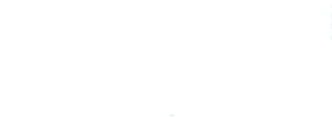 NZHL-logo-white